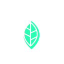 Bei einer Investition in Energieeffizienz, stehen Ihnen Förderungen zu